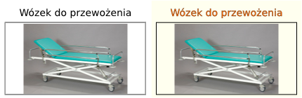 Wózek do przewożenia chowych W-01